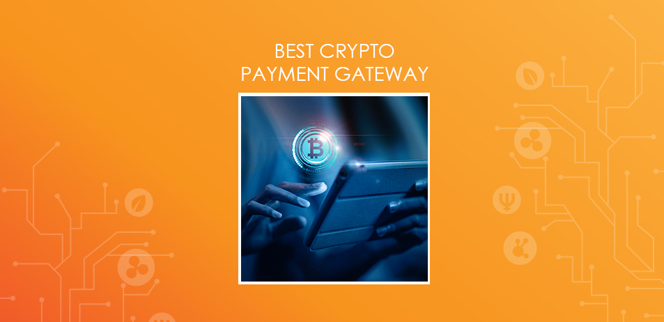 cryptody best crypto payments gateway